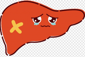 png-clipart-world-hepatitis-day-hepatitis-a-hepatitis-c-hepatitis-orange-cartoon